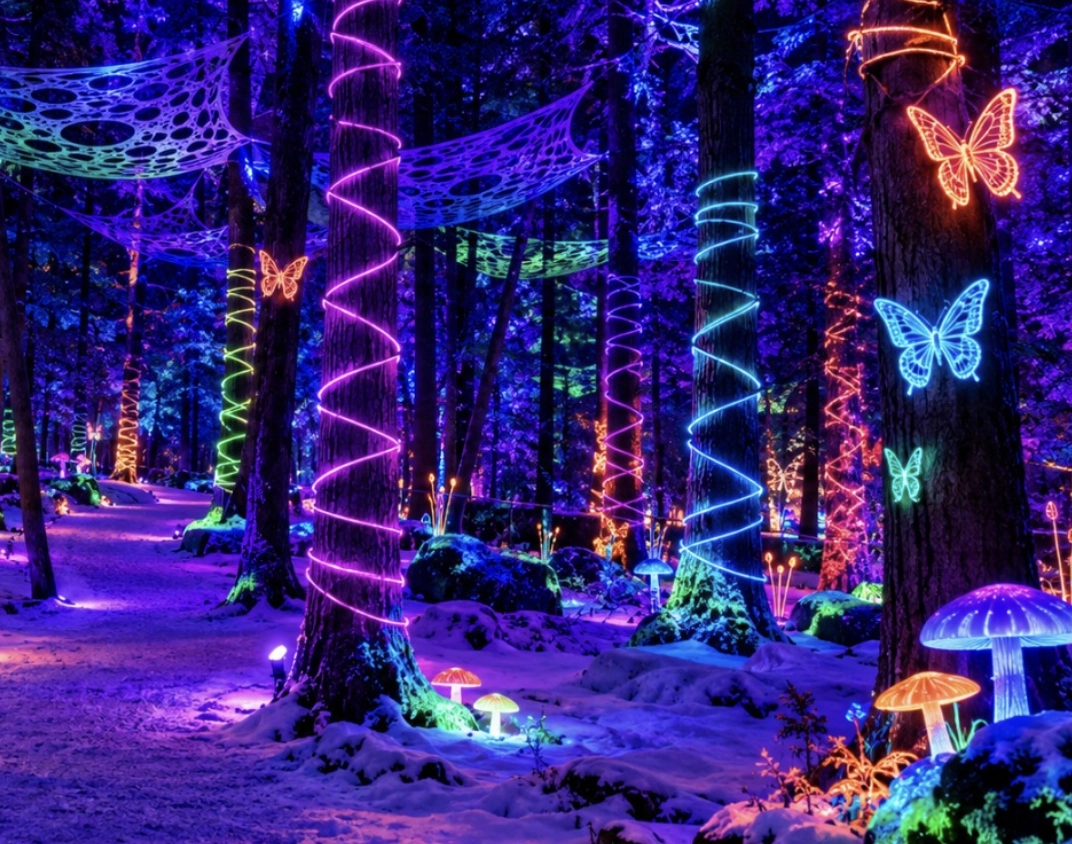 winter lights